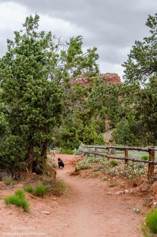 Timber & Tin F 2Bed 2Bath W Pool & Rooftop Deck Kanab Bagian luar foto