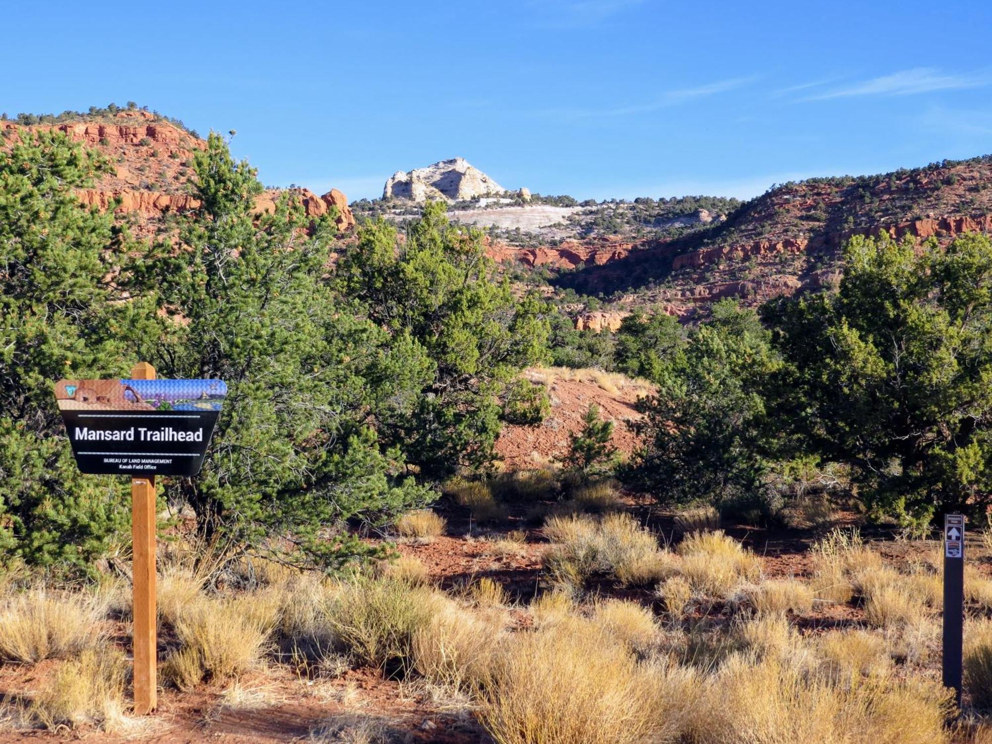 Timber & Tin F 2Bed 2Bath W Pool & Rooftop Deck Kanab Bagian luar foto